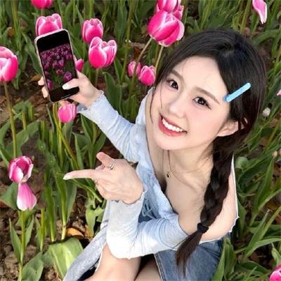 探案新窍门 第四季